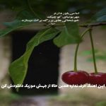 دانلود آهنگ کار نار منه می دل خونه از ابی عالی (ترند اینستایی)